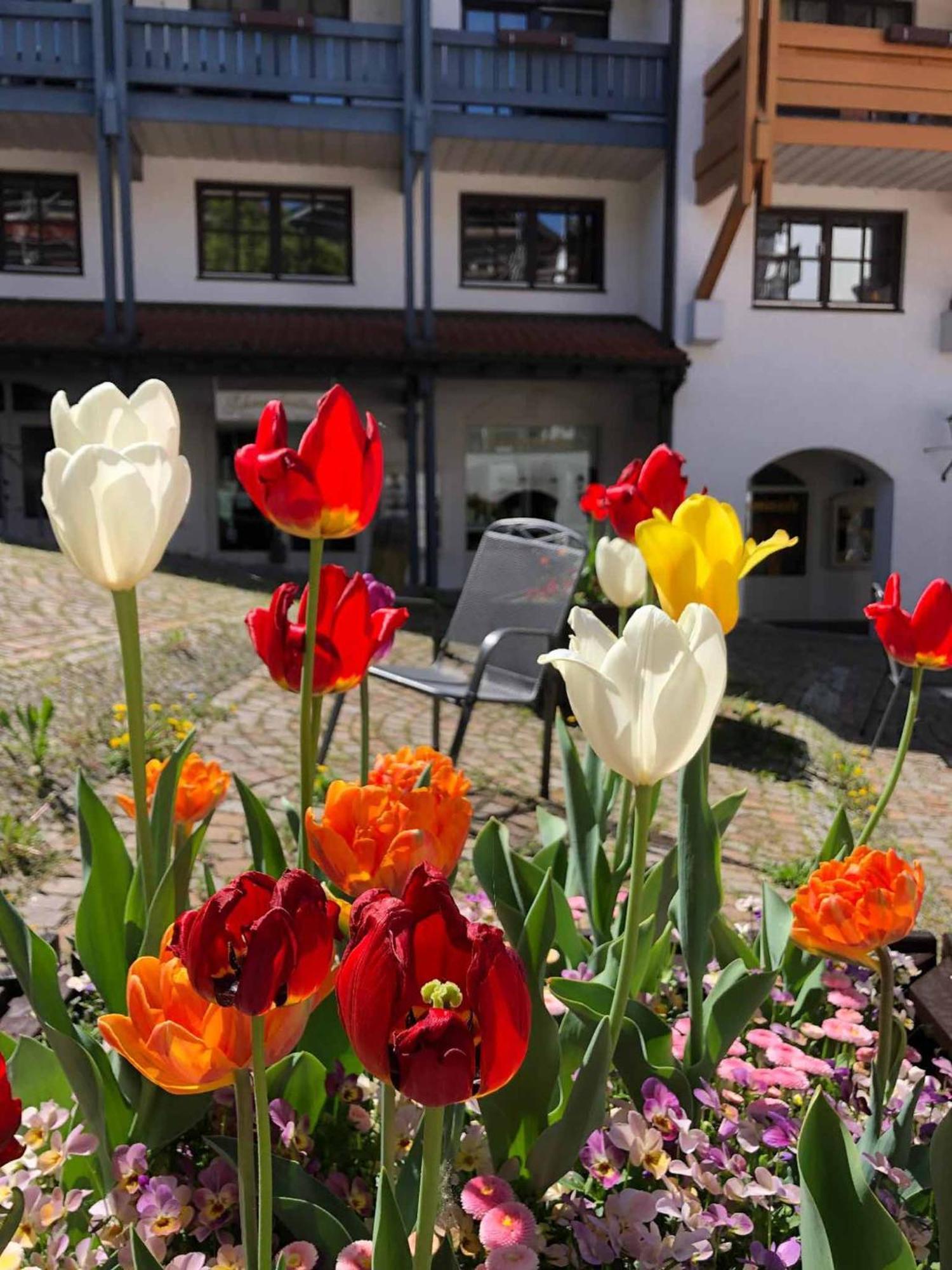 Appartement Am Brunnenplatzl Mit Bademantelzugang Bad Griesbach  Zewnętrze zdjęcie